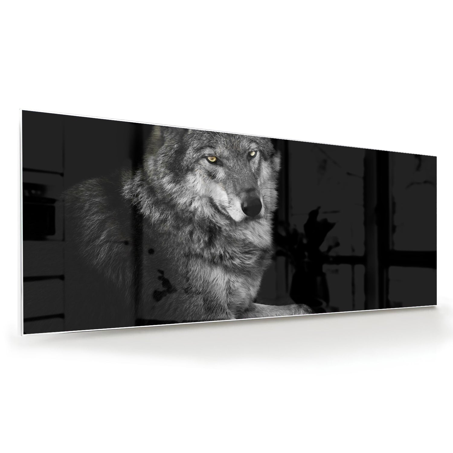 Glasbild mit einem majestätischen Wolf – Glasbild aus Sicherheitsglas, Größe 60x60