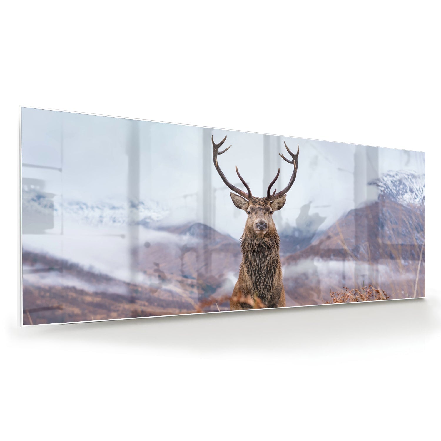 Glasbild mit majestätischem Hirsch in einer ruhigen Berglandschaft – Glasbild aus Sicherheitsglas, Größe 60x60
