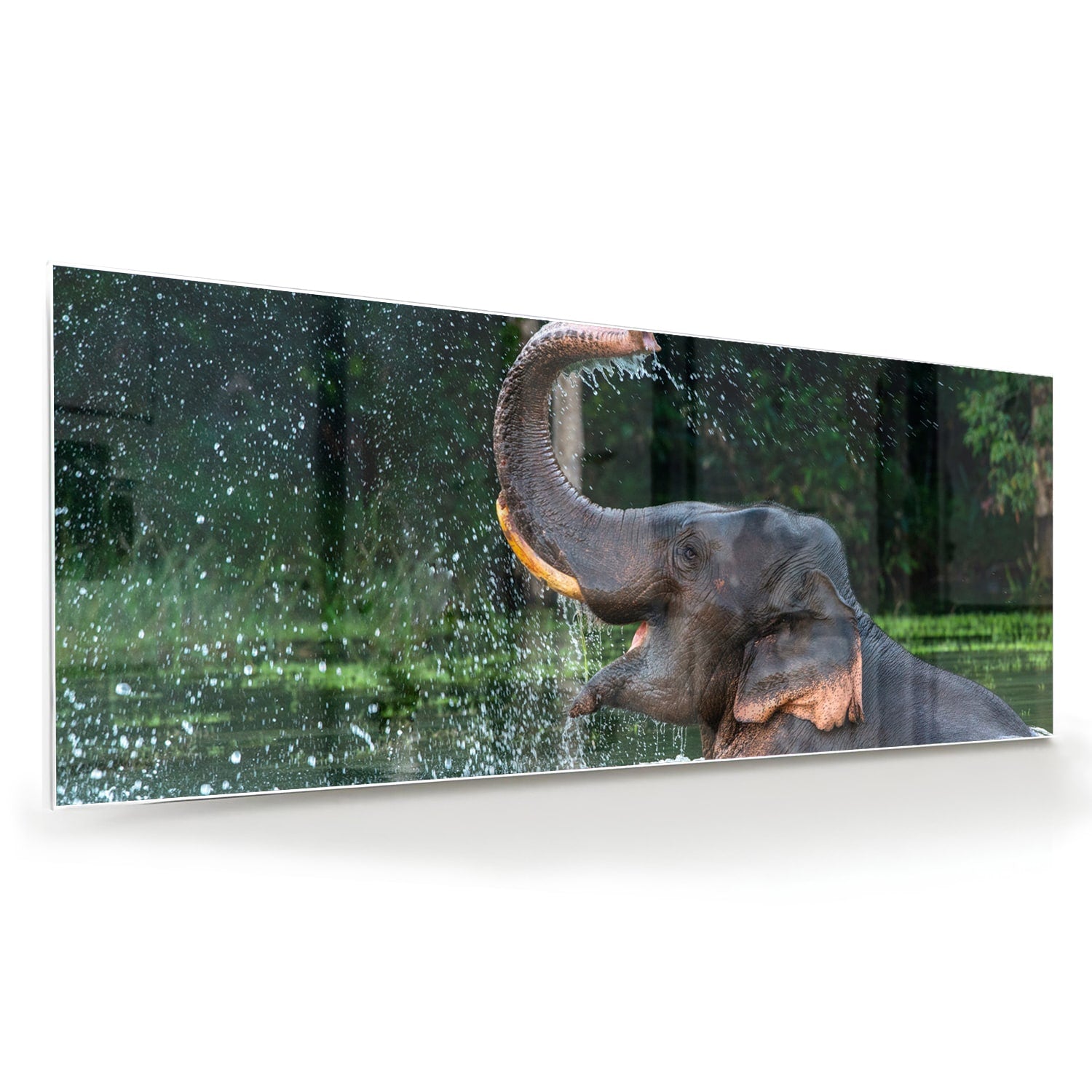 Wunderschönes Glasbild mit einem Elefanten im Wasser – Glasbild aus Sicherheitsglas, Größe 60x60