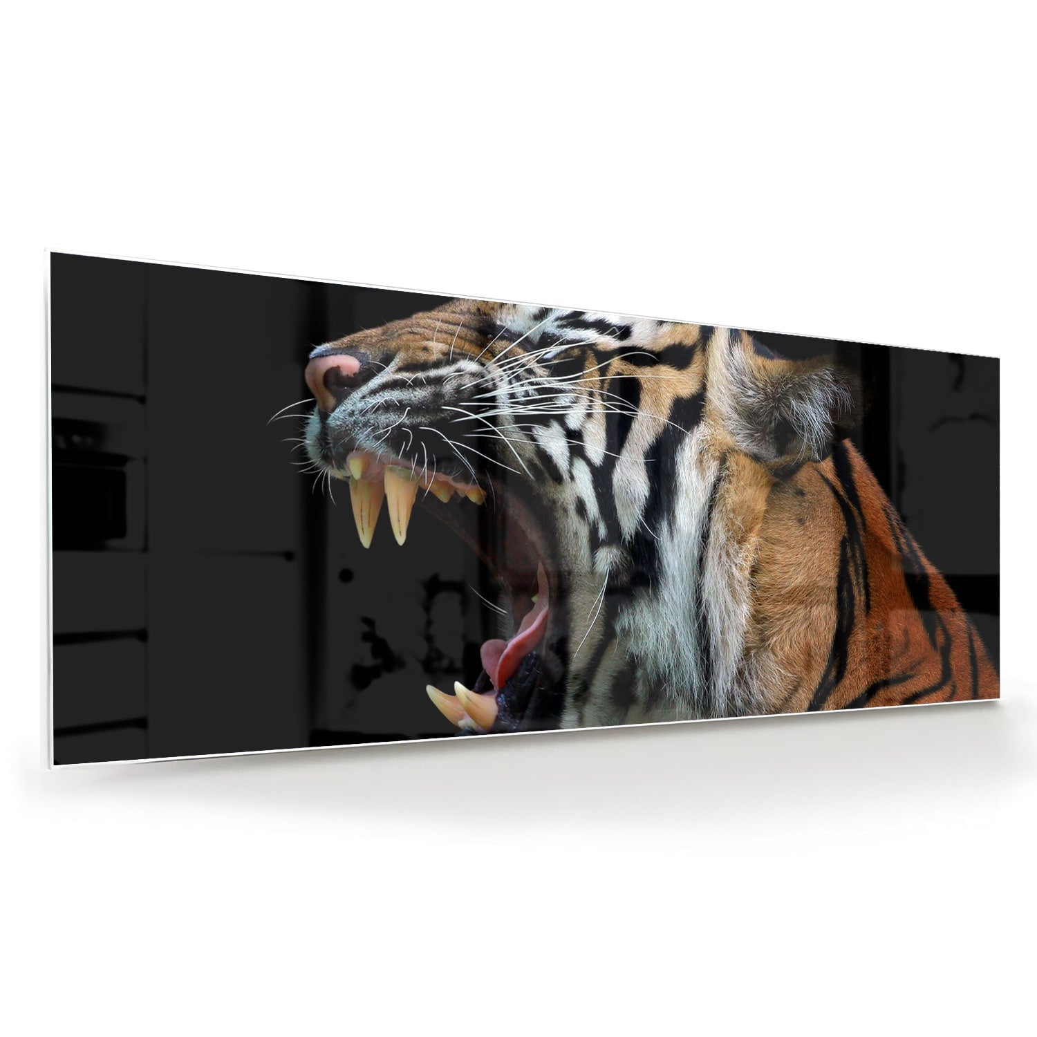 Beeindruckendes Glasbild mit einem brüllenden Tiger – Glasbild aus Sicherheitsglas, Größe 60x60