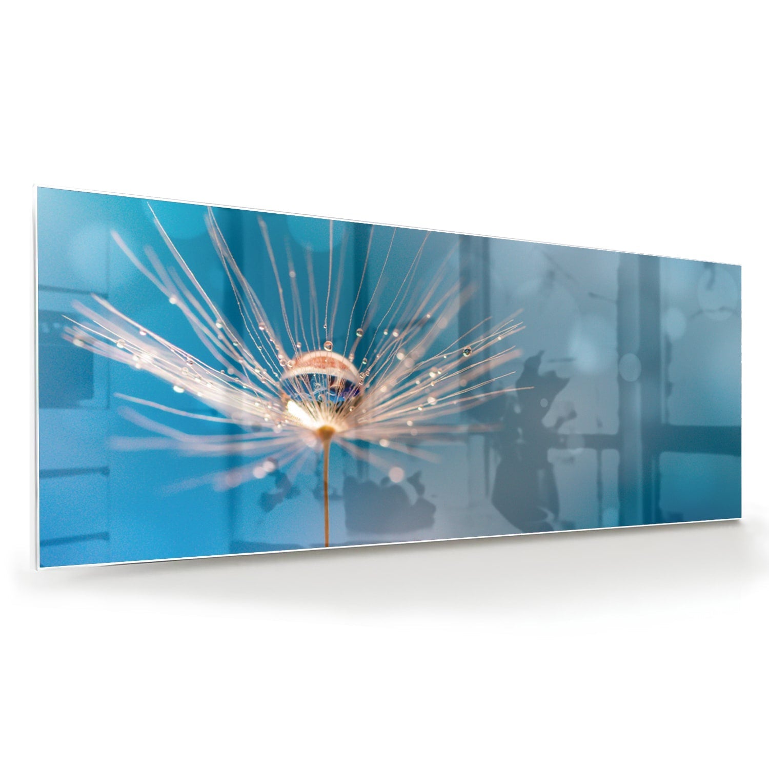 Elegantes Glasbild mit Löwenzahn-Design – Glasbild aus Sicherheitsglas, Größe 60x60