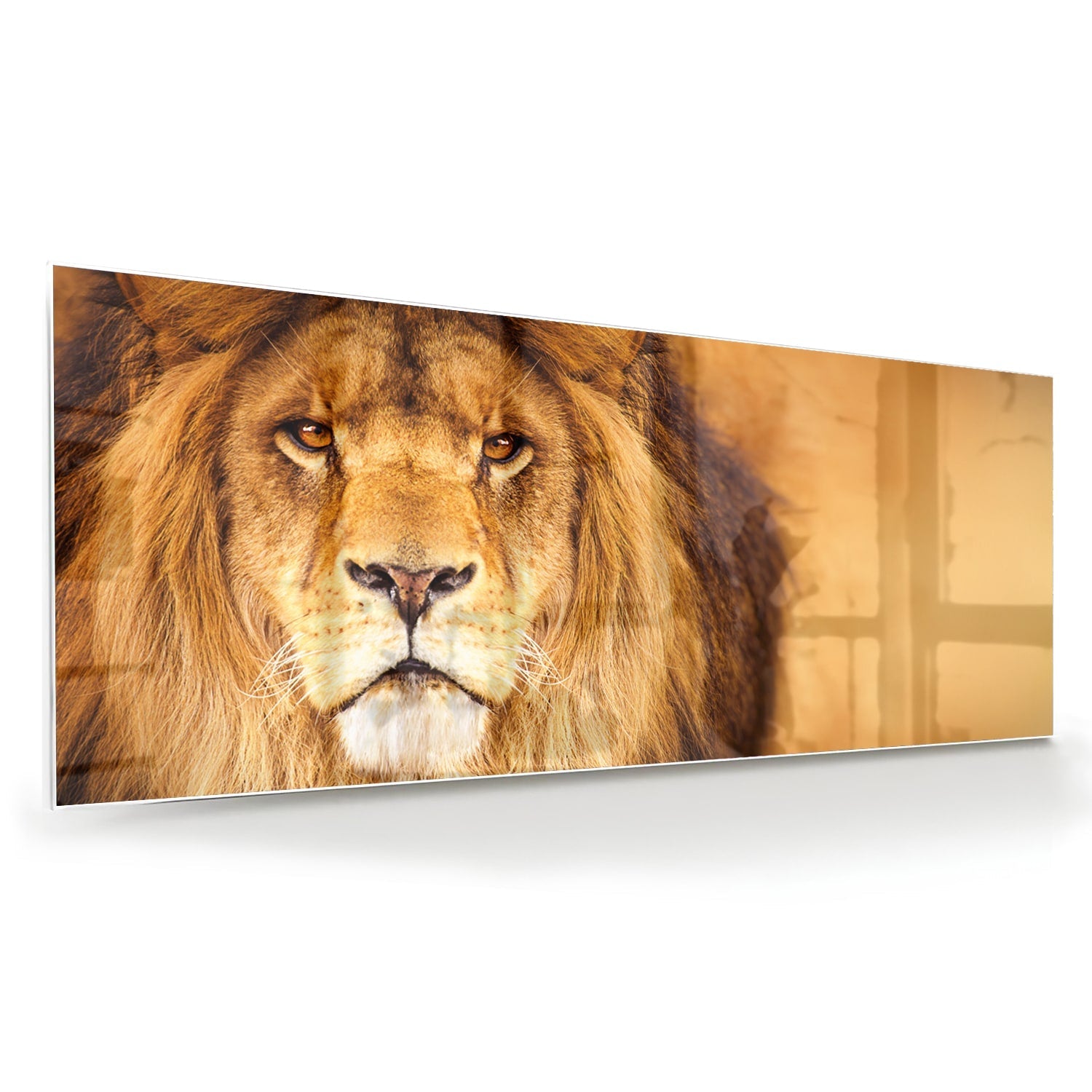 Glasbild mit majestätischem Löwen für Ihr Interieur – Glasbild aus Sicherheitsglas, Größe 60x60