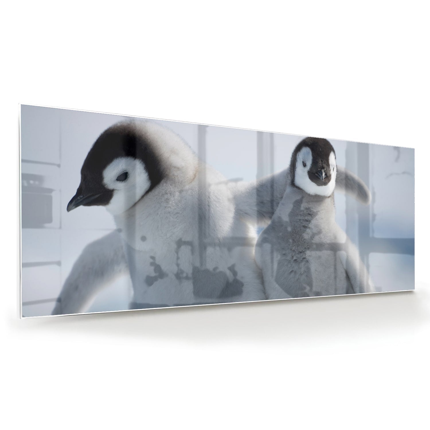 Glasbild mit zwei Pinguinen in winterlicher Atmosphäre – Glasbild aus Sicherheitsglas, Größe 60x60