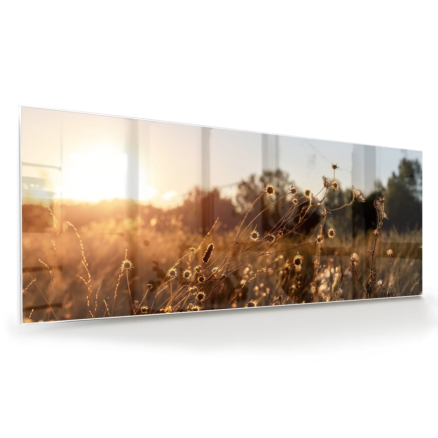 Zauberhaftes Glasbild mit goldenem Sonnenuntergang – Glasbild aus Sicherheitsglas, Größe 60x60