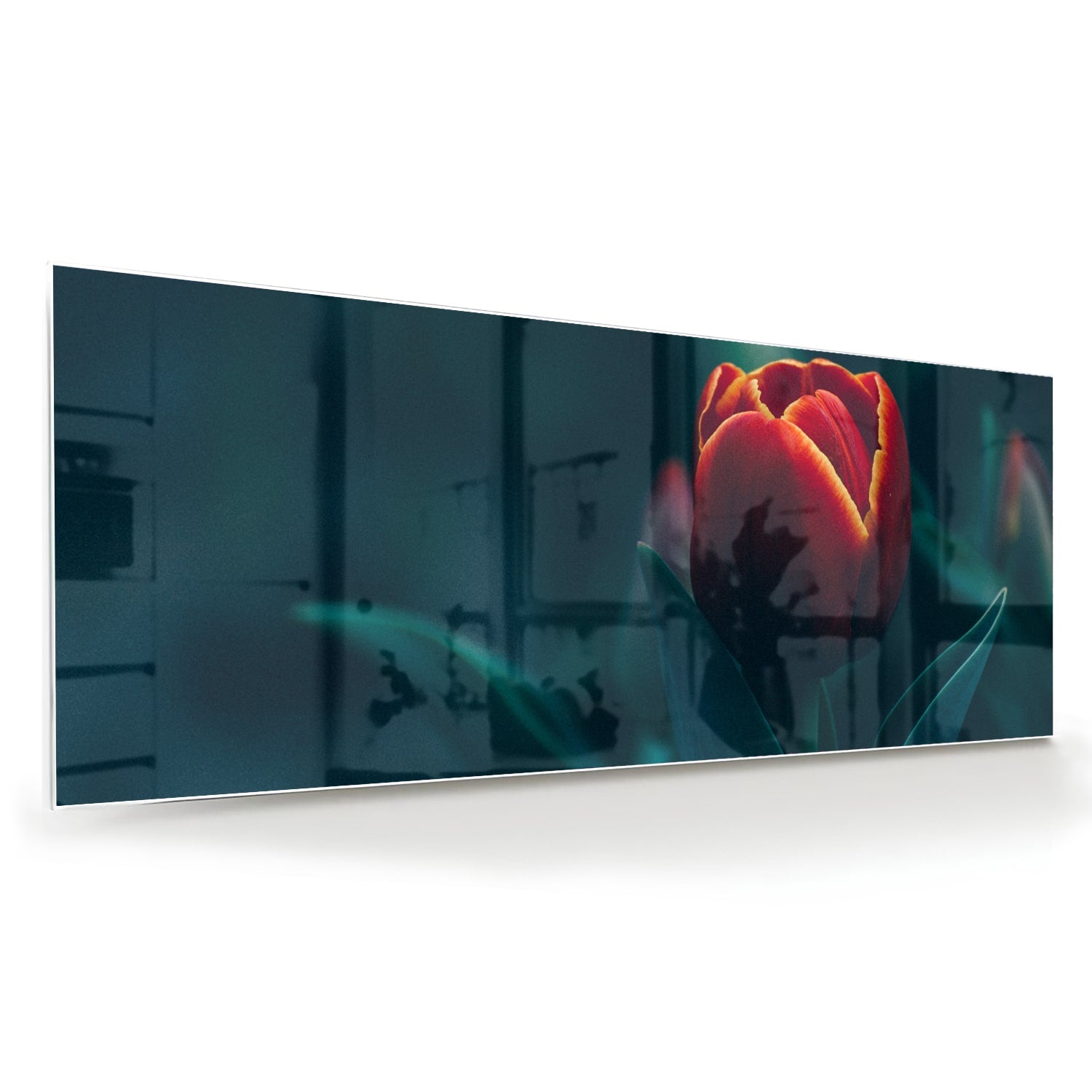 Glasbild mit roter Tulpe in einem modernen Interieur – Glasbild aus Sicherheitsglas, Größe 60x60