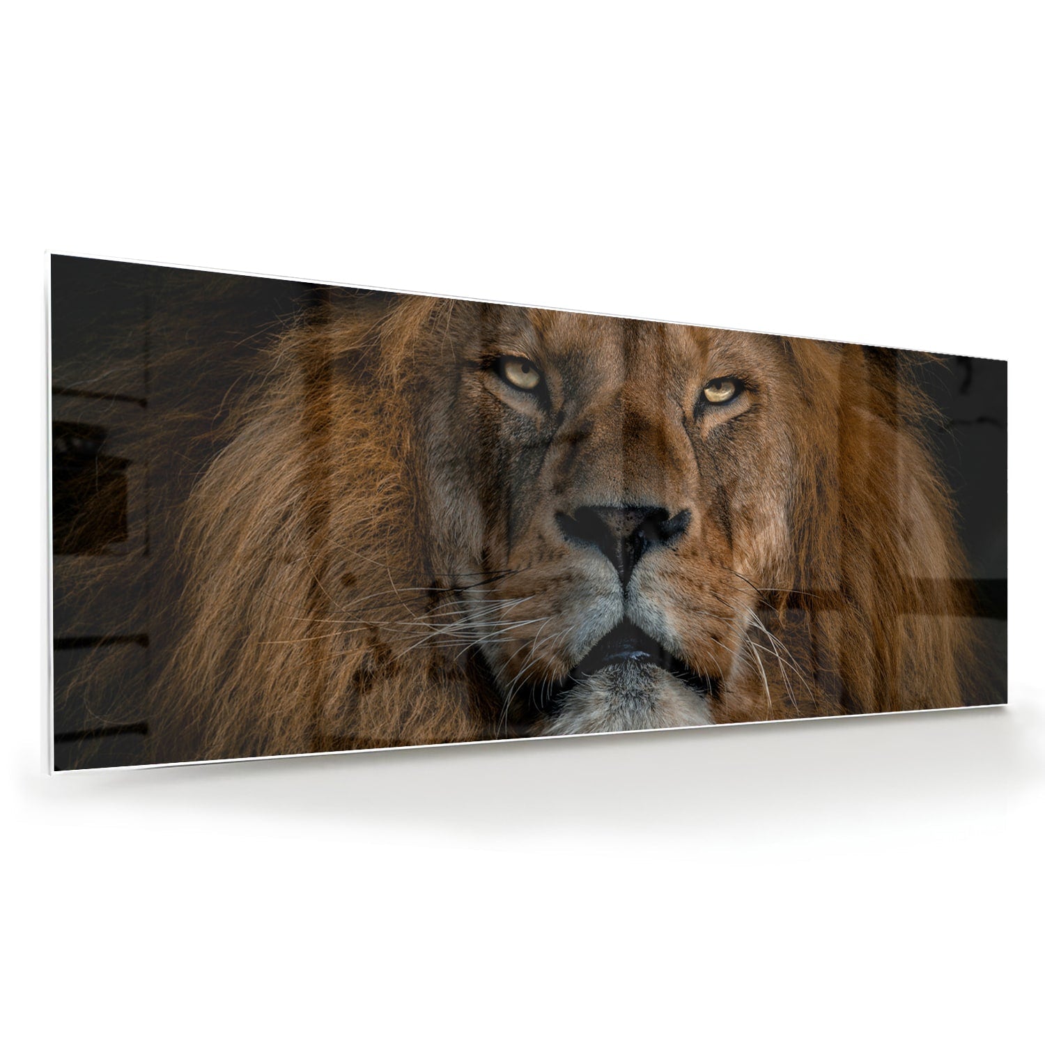 Glasbild mit majestätischem Löwen – einzigartige Wanddekoration – Glasbild aus Sicherheitsglas, Größe 60x60