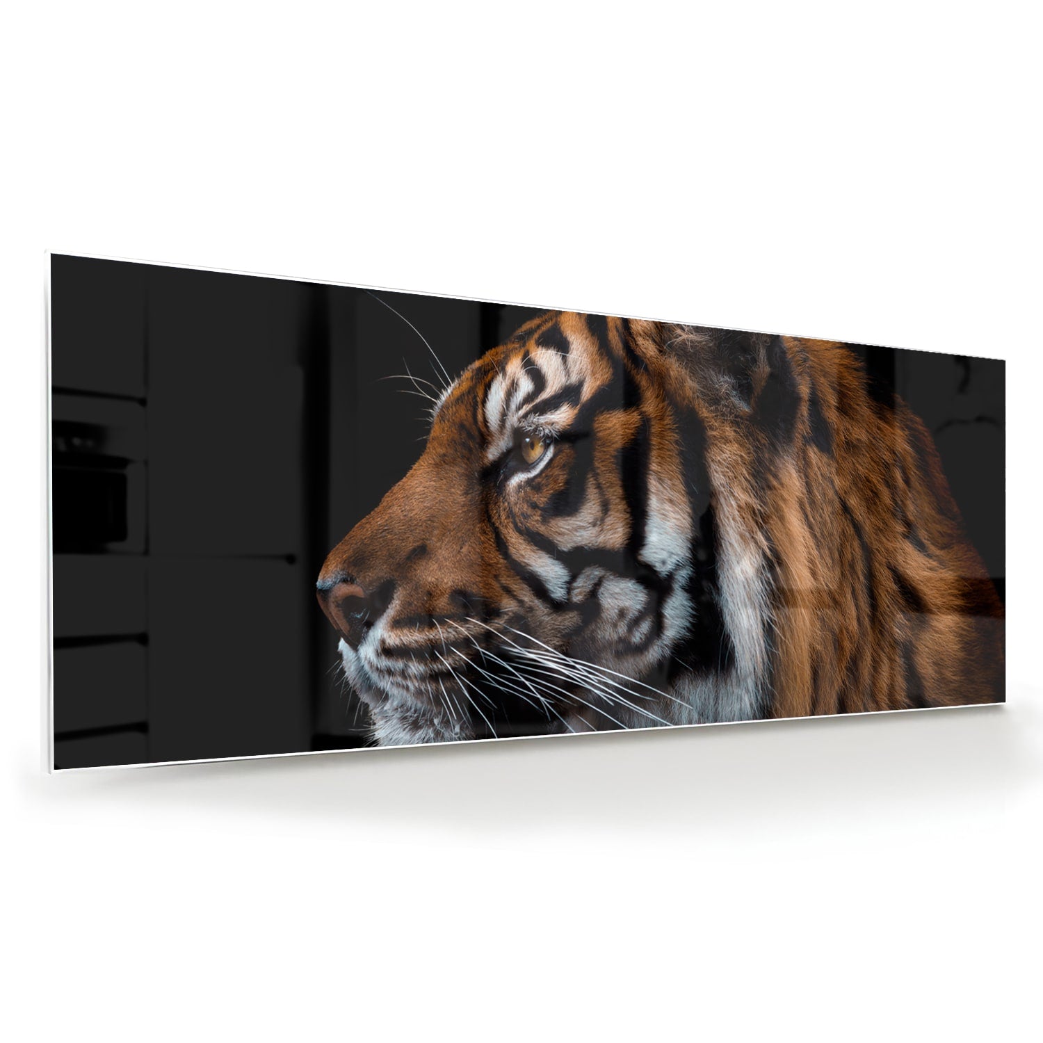 Glasbild mit majestätischen Tigern – Glasbild aus Sicherheitsglas, Größe 60x60