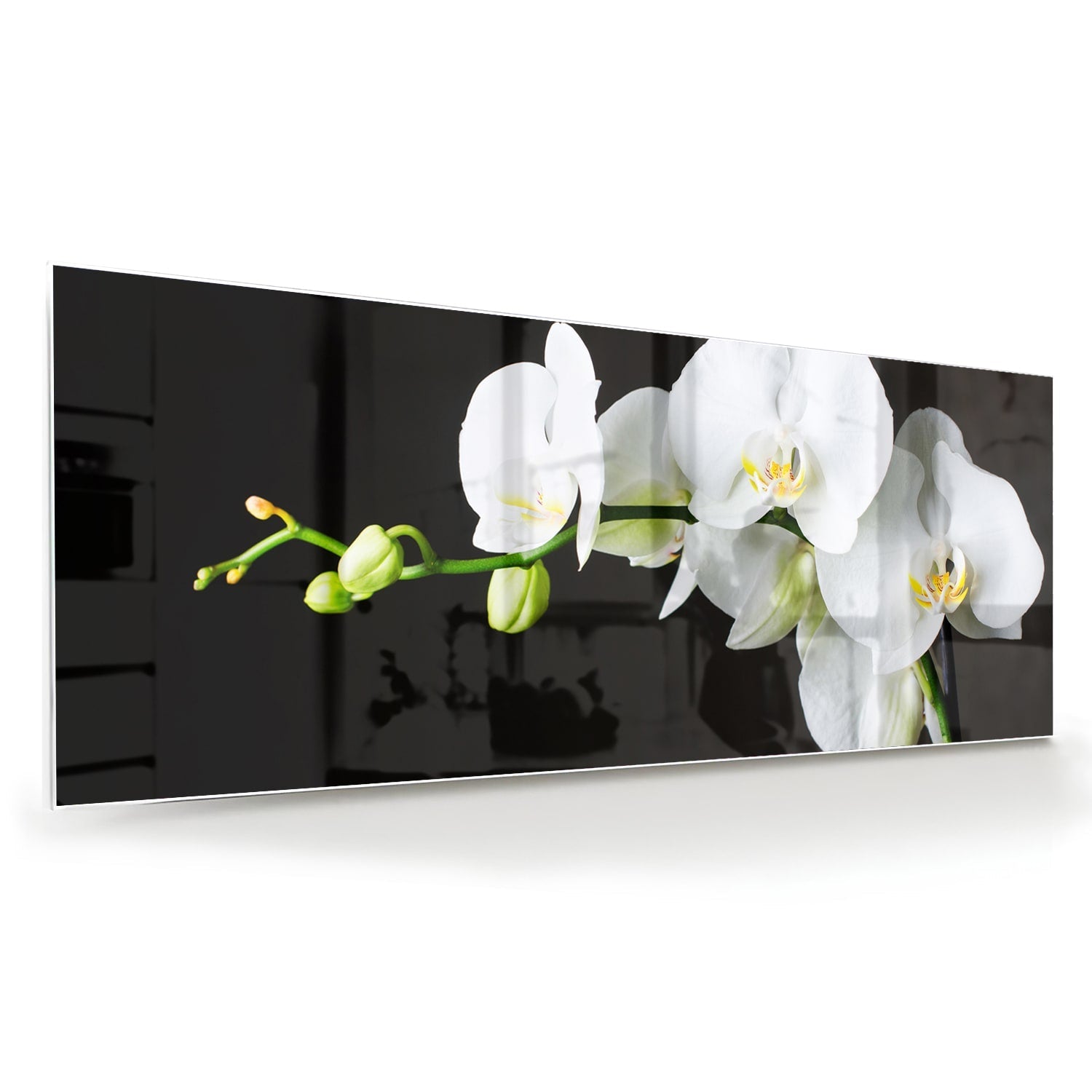 Elegantes Glasbild mit weißen Orchideen – Glasbild aus Sicherheitsglas, Größe 60x60