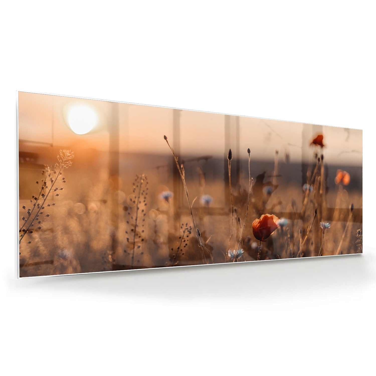Glasbild – Mohnfeld in sanftem Glanz – Glasbild aus Sicherheitsglas, Größe 60x60