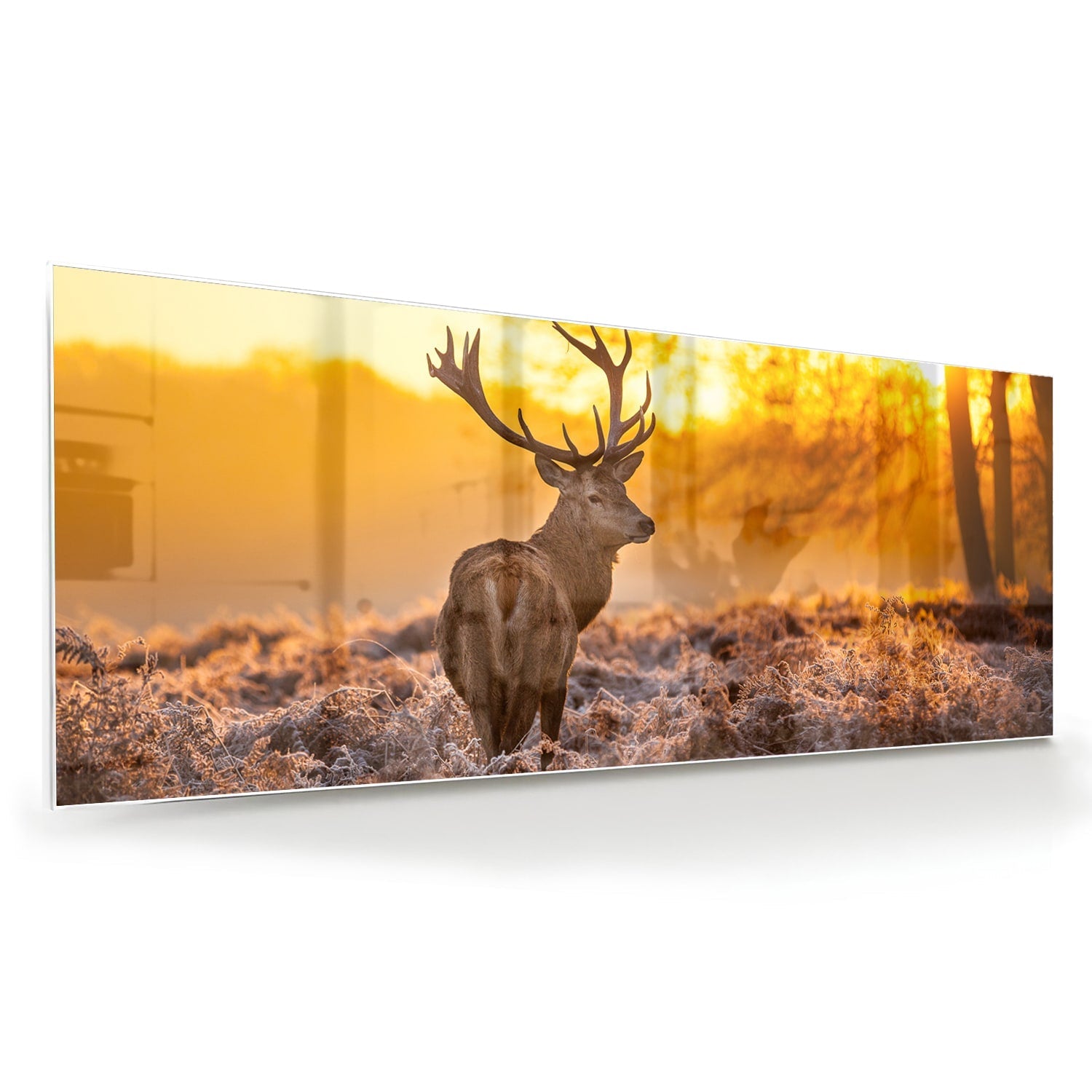 Glasbild mit einem Hirsch in der aufgehenden Sonne – Glasbild aus Sicherheitsglas, Größe 60x60