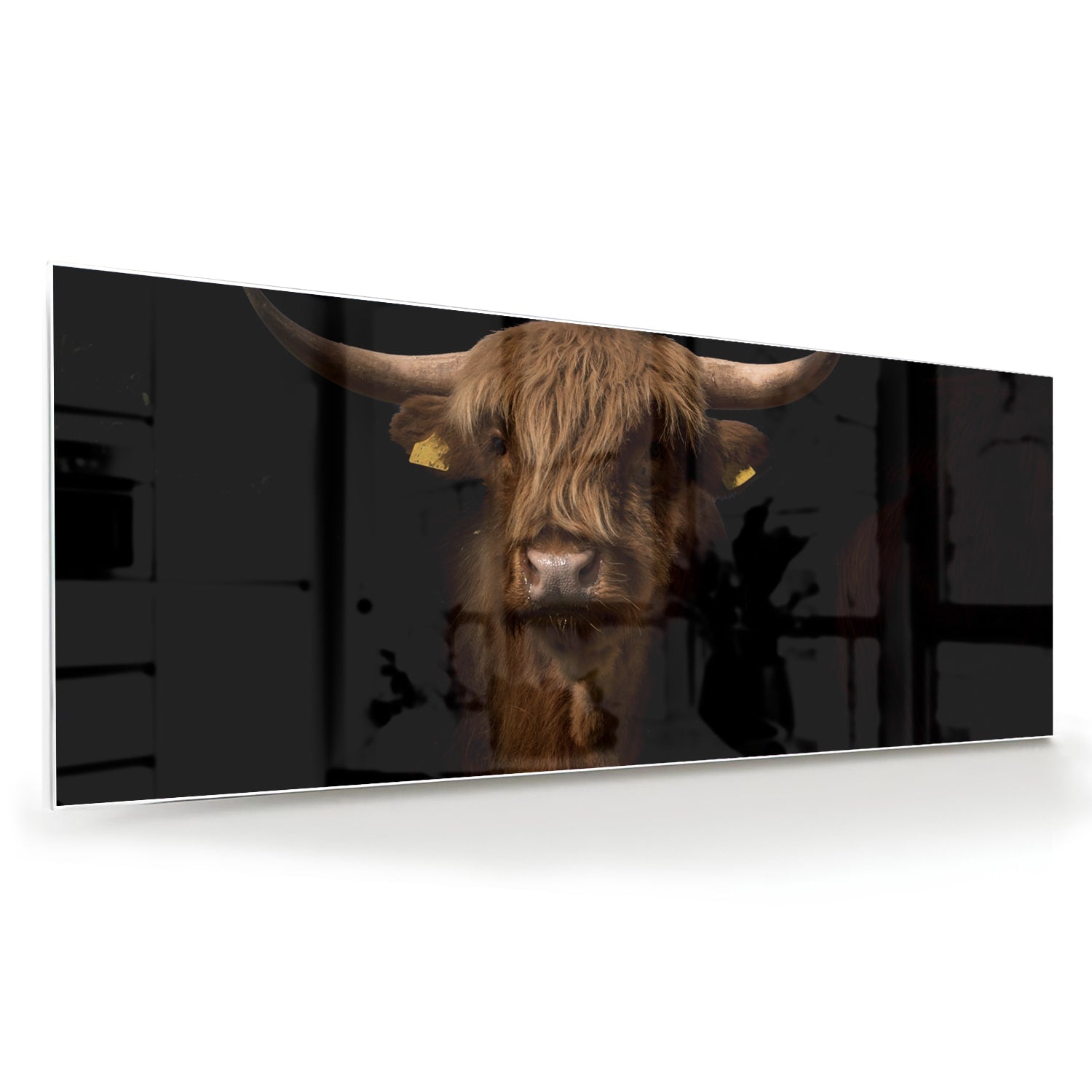 Glasbild mit kraftvollem Hochlandrind – Glasbild aus Sicherheitsglas, Größe 60x60
