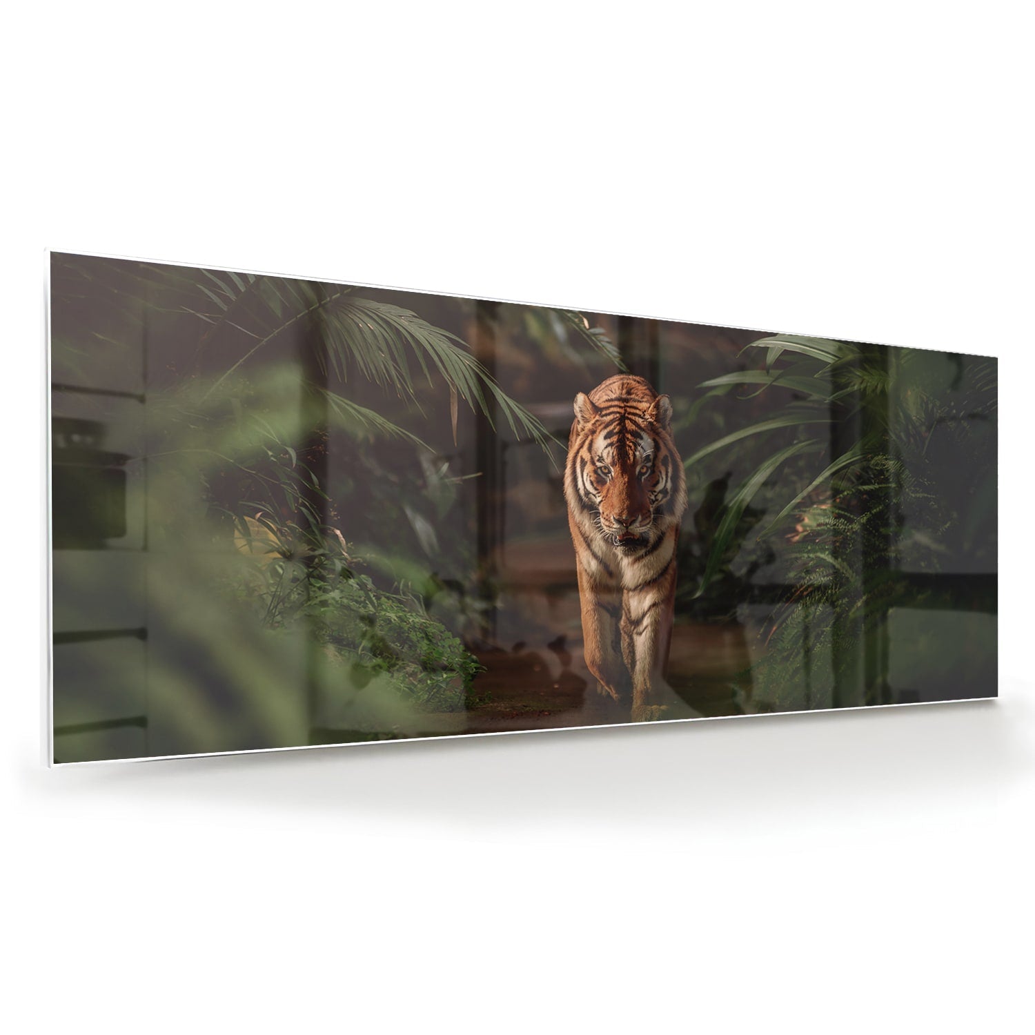 Elegantes Glasbild mit Tiger zwischen Blättern – Glasbild aus Sicherheitsglas, Größe 60x60