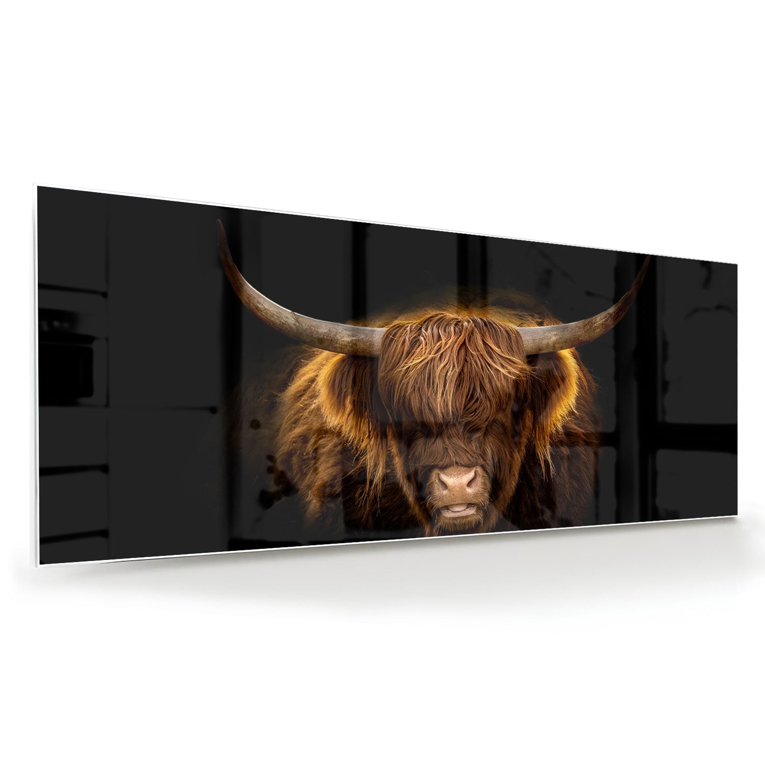 Beeindruckendes Glasbild mit Highland-Rind – Glasbild aus Sicherheitsglas, Größe 60x60