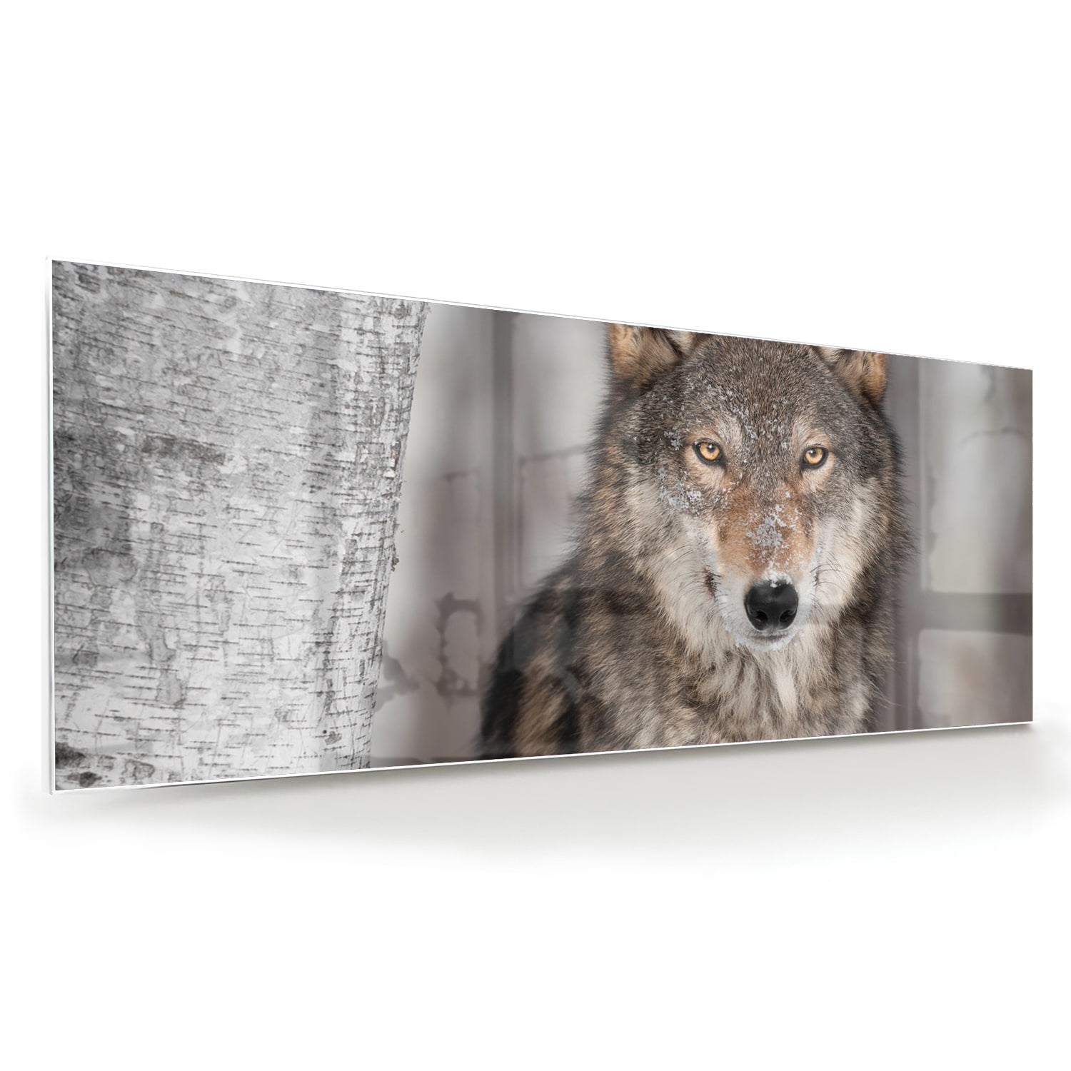 Beeindruckendes Glasbild mit einem Wolf – Glasbild aus Sicherheitsglas, Größe 60x60
