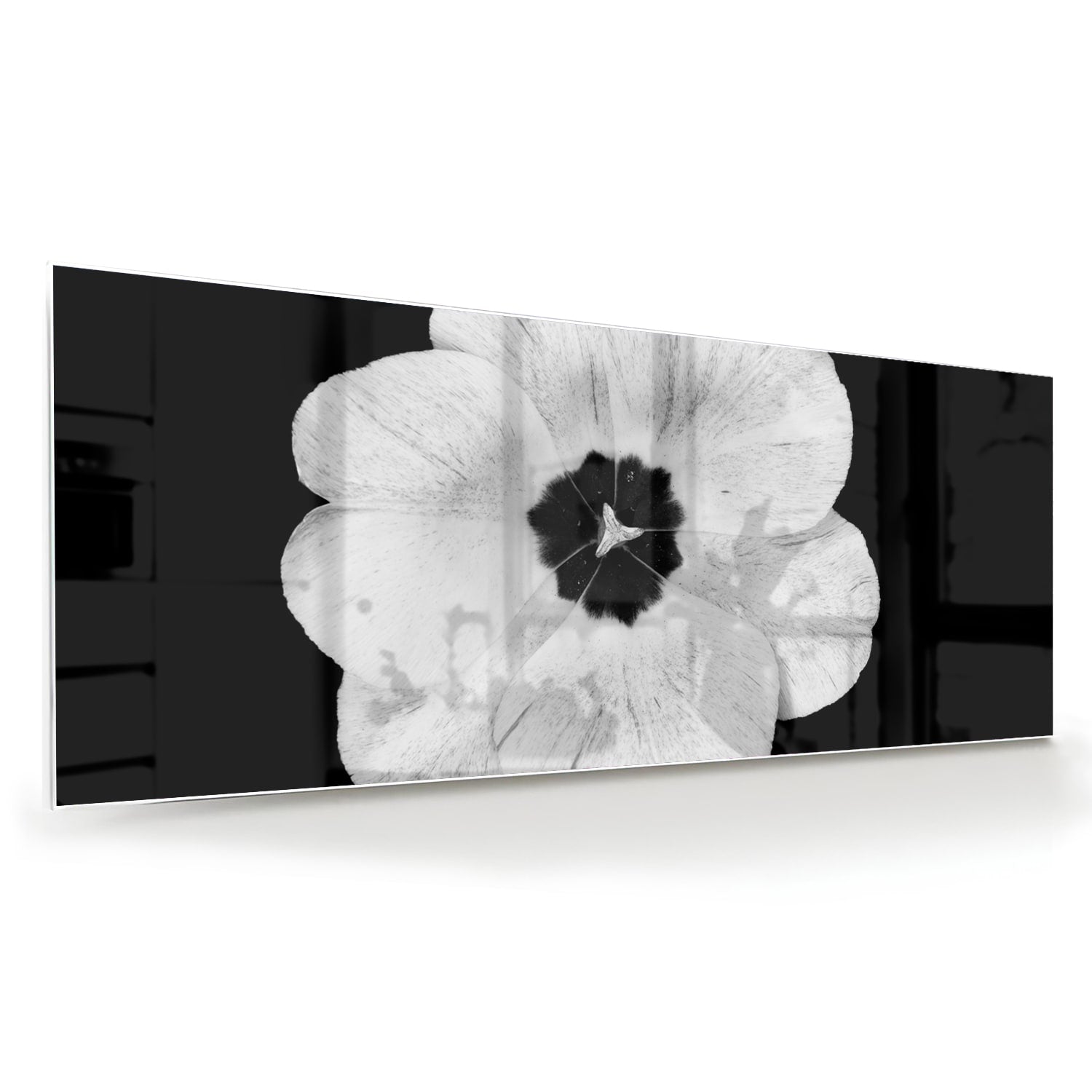 Glasbild mit einer weißen Blume auf schwarzem Hintergrund – Glasbild aus Sicherheitsglas, Größe 60x60