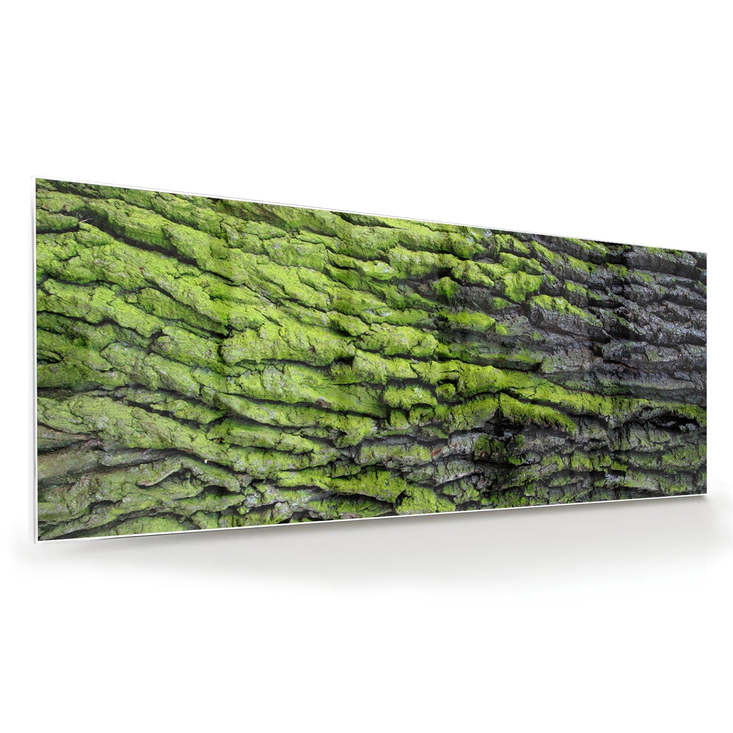 Glasbild mit moosartiger Textur – Glasbild aus Sicherheitsglas, Größe 60x60