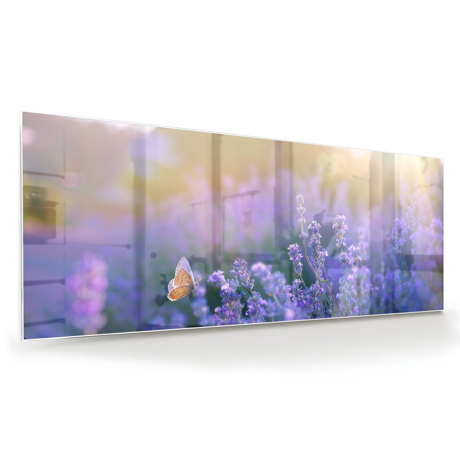 Glasbild mit violettem Lavendel und Schmetterling – Glasbild aus Sicherheitsglas, Größe 60x60