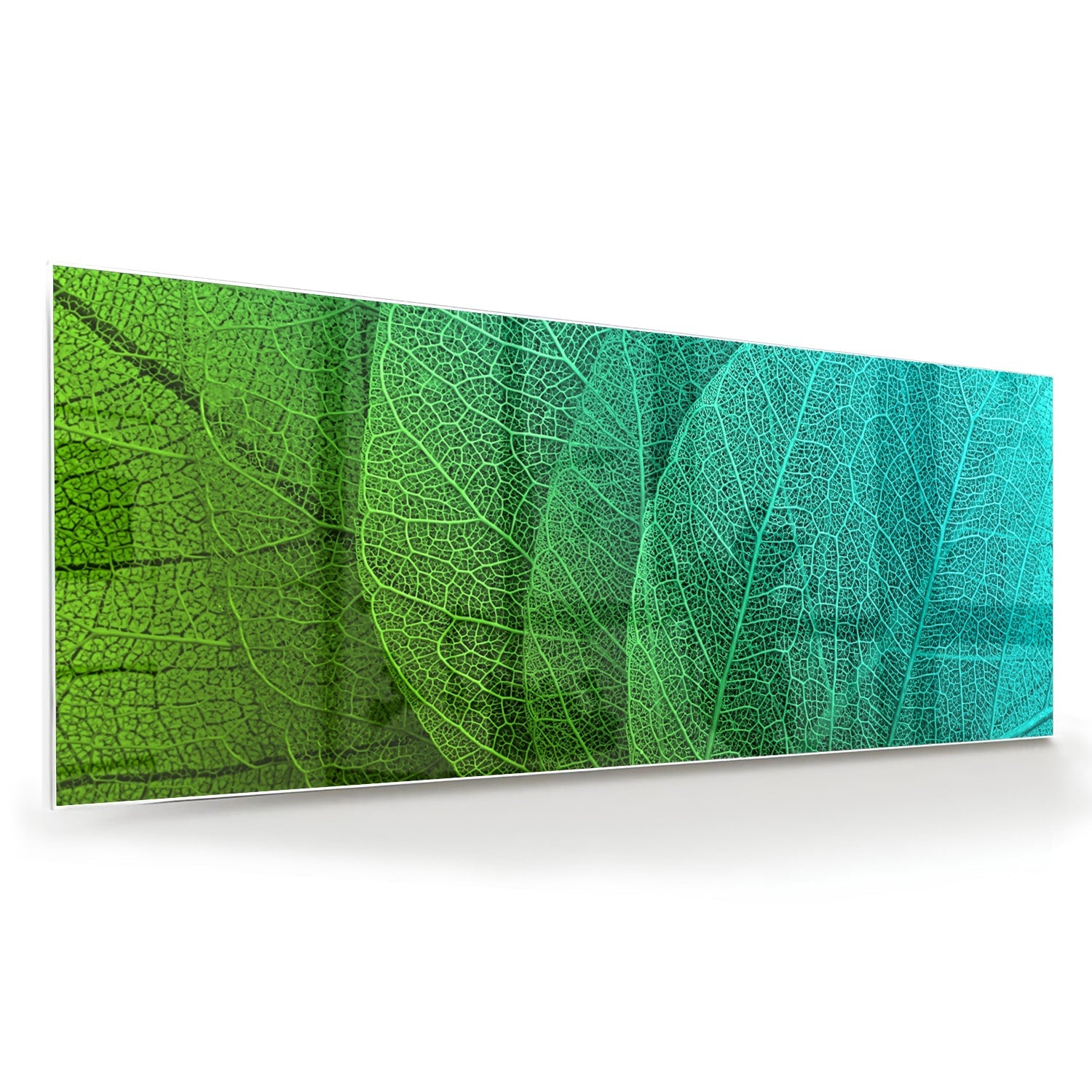 Glasbild mit strukturierter Oberfläche aus grünen Blättern – Glasbild aus Sicherheitsglas, Größe 60x60