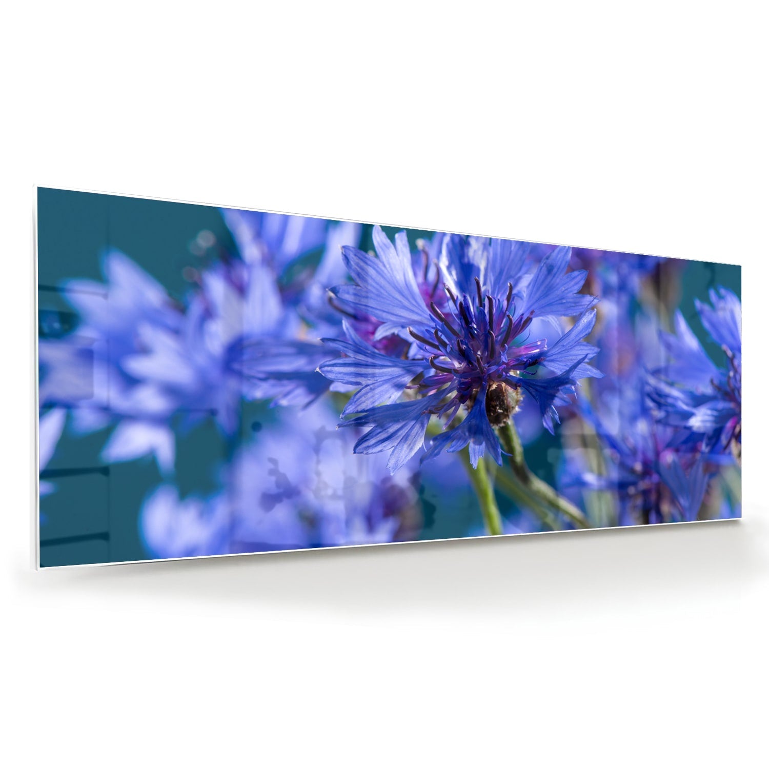Wunderschönes violettes Glasbild mit Blumenmotiv – Glasbild aus Sicherheitsglas, Größe 60x60