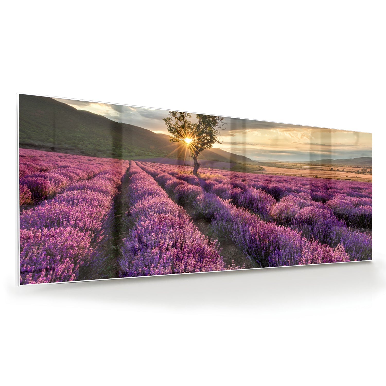 Glasbild mit violetten Lavendelfeldern bei Sonnenuntergang – Glasbild aus Sicherheitsglas, Größe 60x60