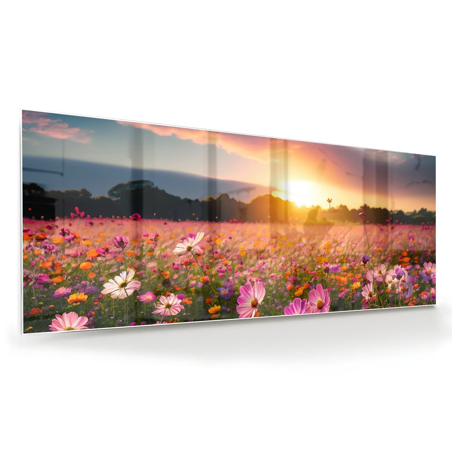Glasbild – Sonnenuntergang über Blumenfeld – Glasbild aus Sicherheitsglas, Größe 60x60