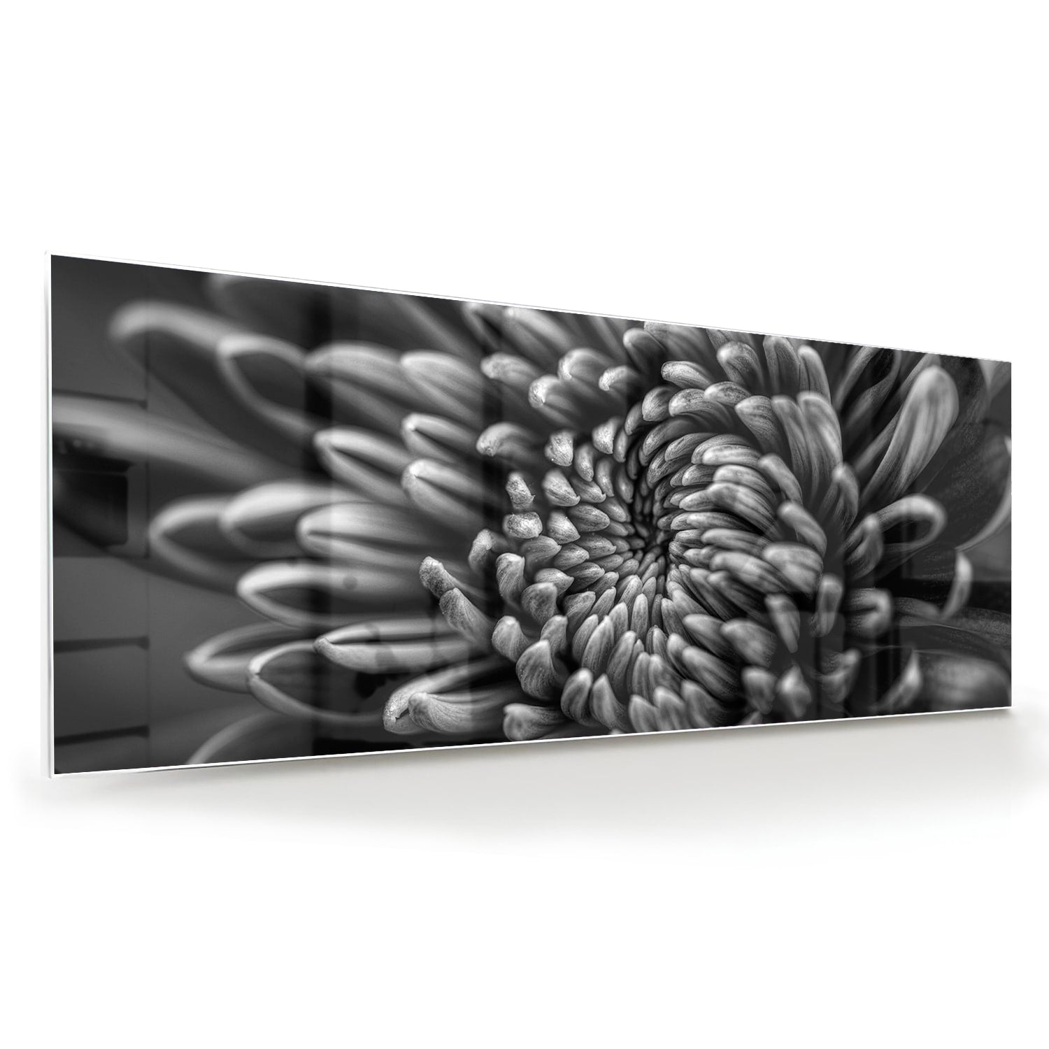 Schwarz-Weiß-Glasbild mit geschwungener Blume – Glasbild aus Sicherheitsglas, Größe 60x60