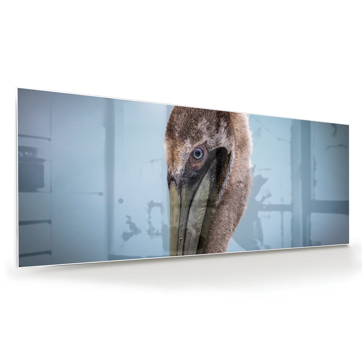Stilvolles Glasbild mit Pelikan-Porträt – Glasbild aus Sicherheitsglas, Größe 60x60