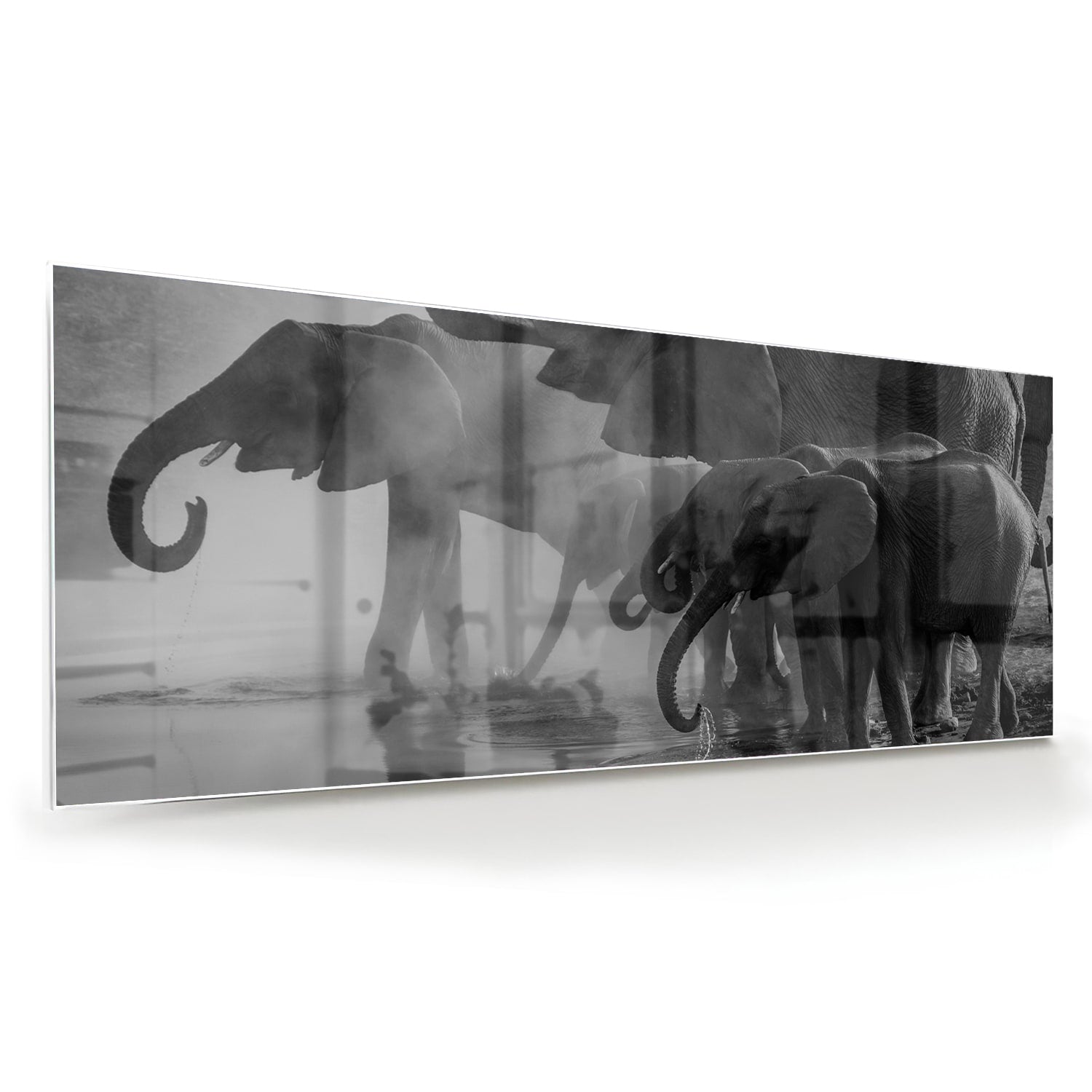 Glasbild mit majestätischen Elefanten – Glasbild aus Sicherheitsglas, Größe 60x60