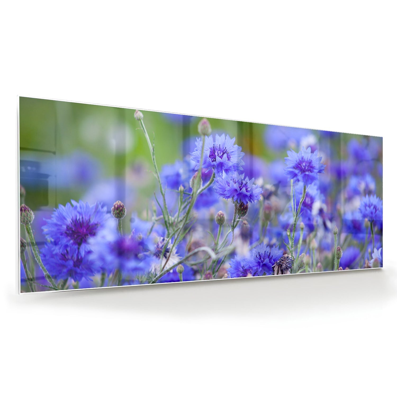 Glasbild mit violetten Blumen in ruhiger Szenerie – Glasbild aus Sicherheitsglas, Größe 60x60