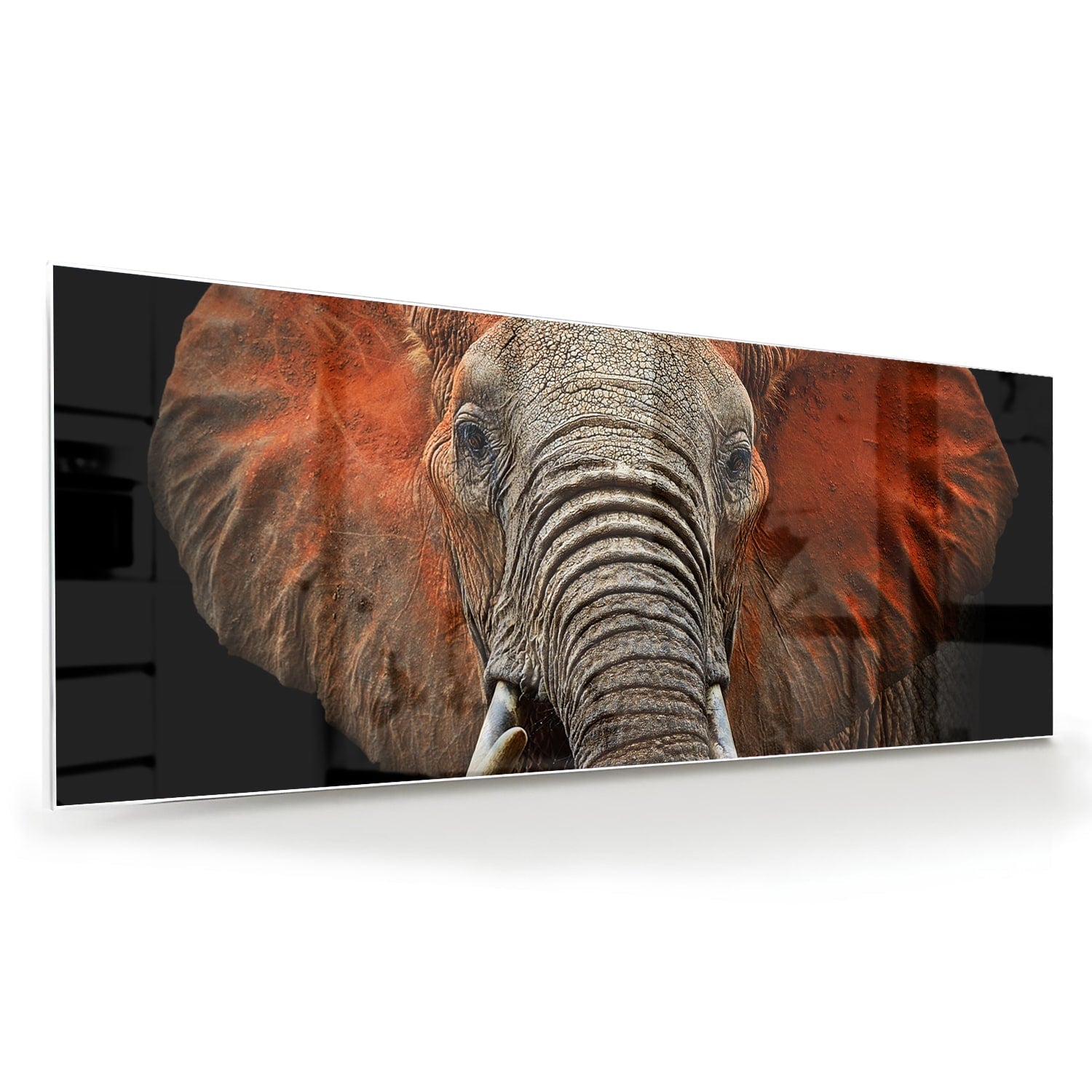 Beeindruckendes Glasbild mit einem Elefanten – Glasbild aus Sicherheitsglas, Größe 60x60