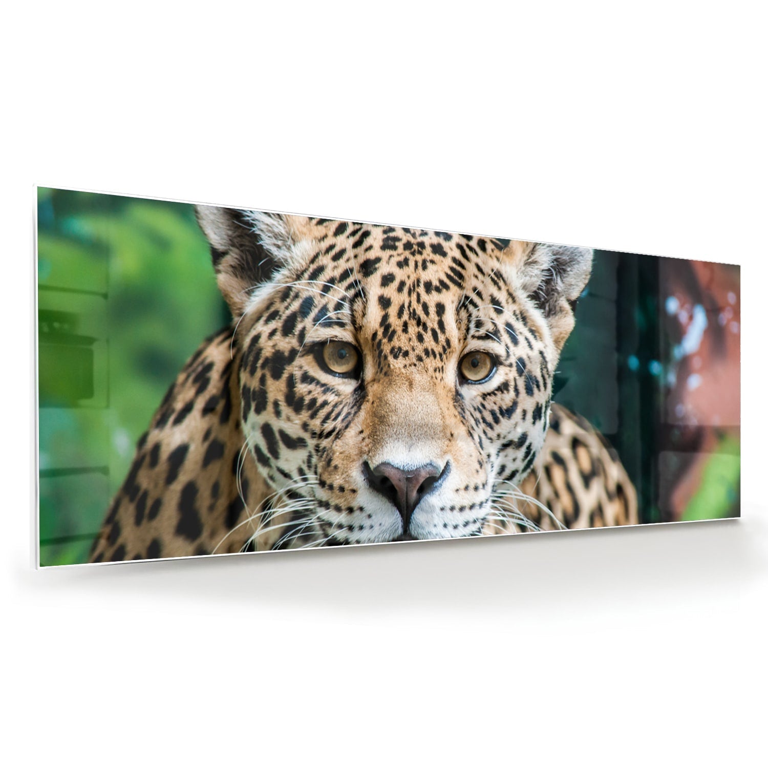 Beeindruckendes Glasbild mit einem Jaguar – Glasbild aus Sicherheitsglas, Größe 60x60