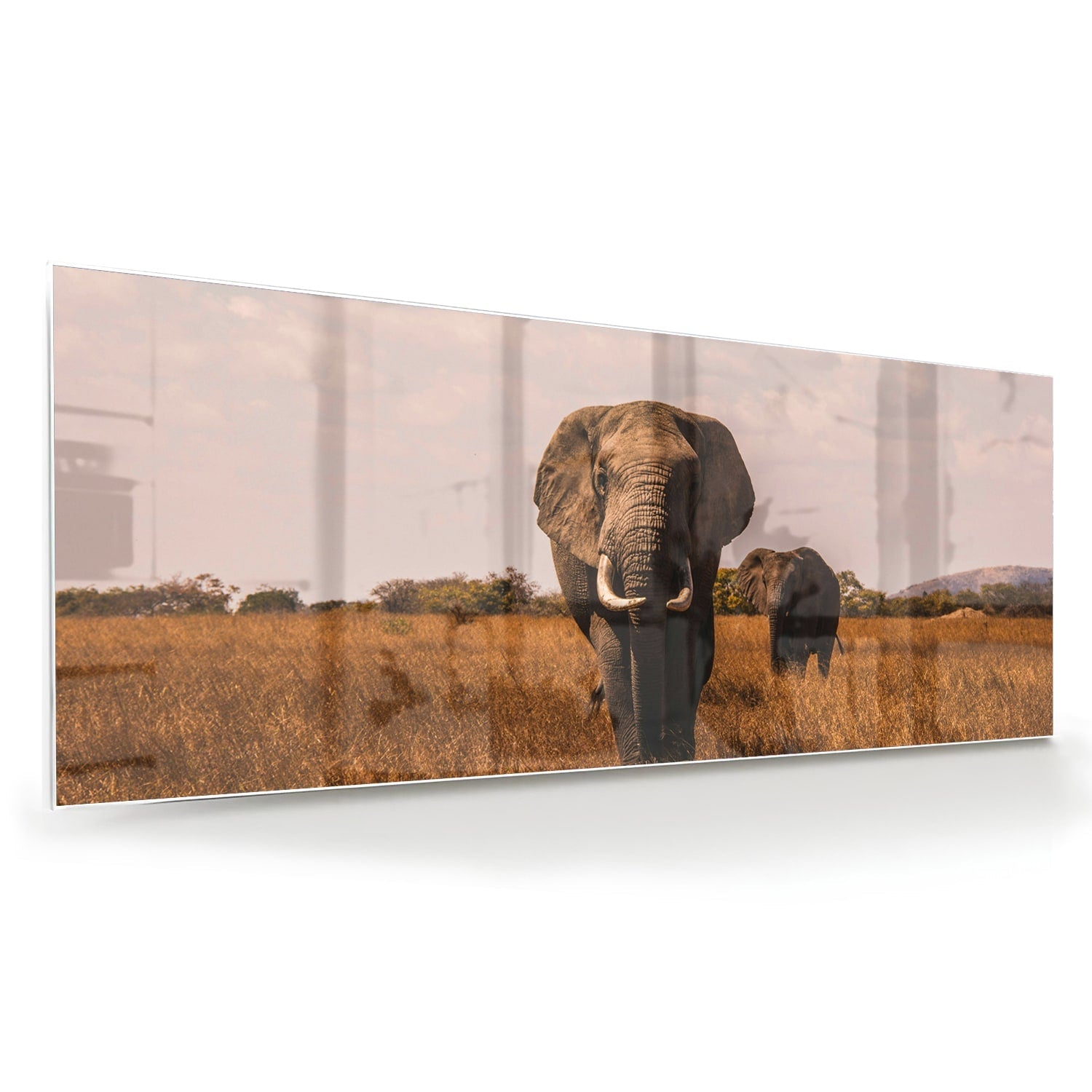 Wunderschönes Glasbild mit Elefanten in der Natur – Glasbild aus Sicherheitsglas, Größe 60x60