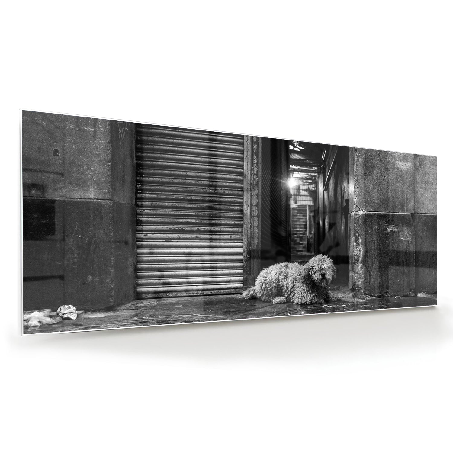 Schwarz-Weiß-Glasbild mit Hund in regnerischer Straßenszene – Glasbild aus Sicherheitsglas, Größe 60x60