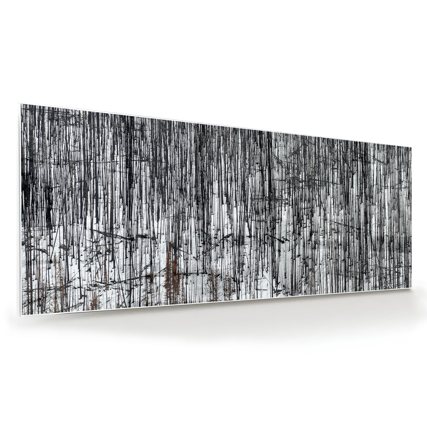 Minimalistisches Glasbild mit Bäumen – Glasbild aus Sicherheitsglas, Größe 60x60