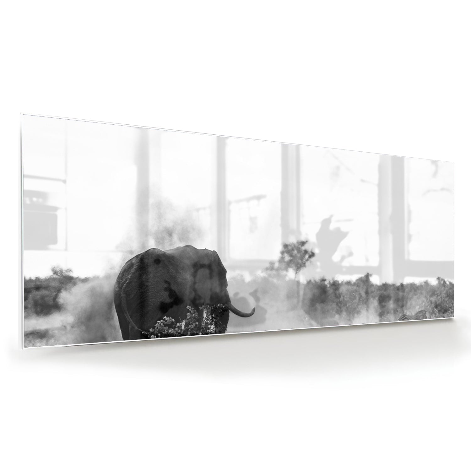 Elegantes Schwarz-Weiß-Glasbild mit einem Elefanten – Glasbild aus Sicherheitsglas, Größe 60x60