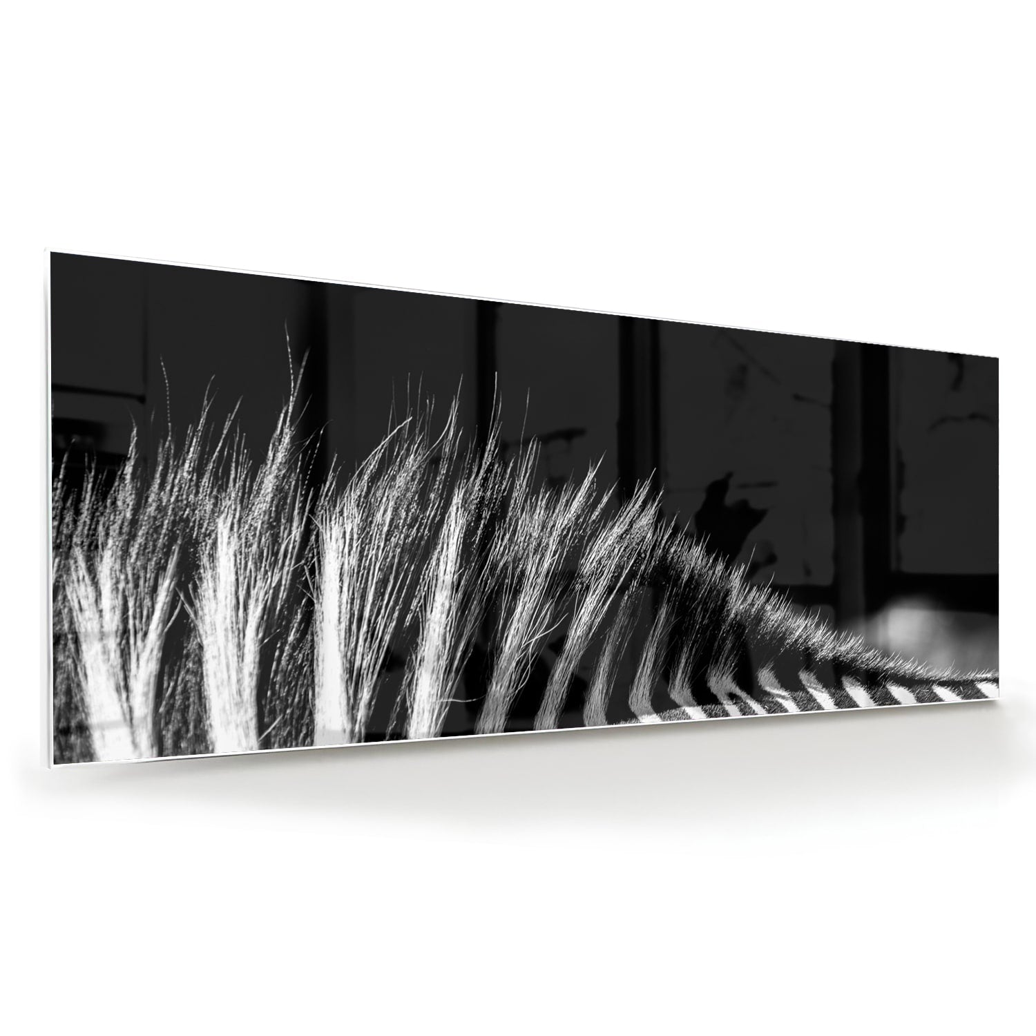 Modernes Schwarz-Weiß-Glasbild – Glasbild aus Sicherheitsglas, Größe 60x60