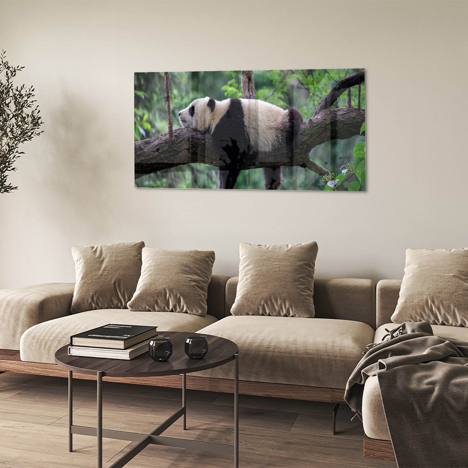 Glasbild mit entspanntem Panda auf einem Ast – Glasbild aus Sicherheitsglas, Größe 90x60