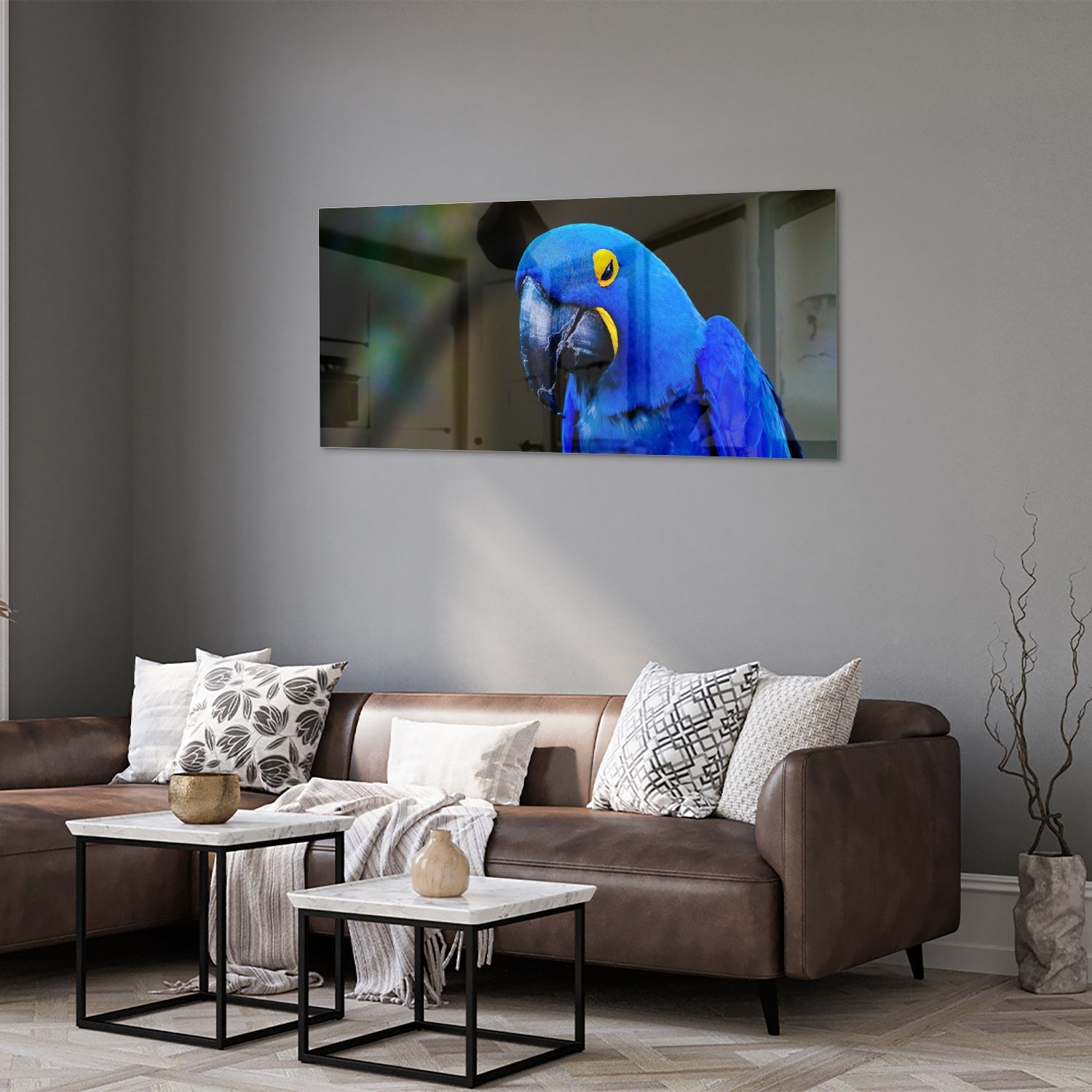 Glasbild mit einem wunderschönen blauen Ara – Glasbild aus Sicherheitsglas, Größe 40x40_rond