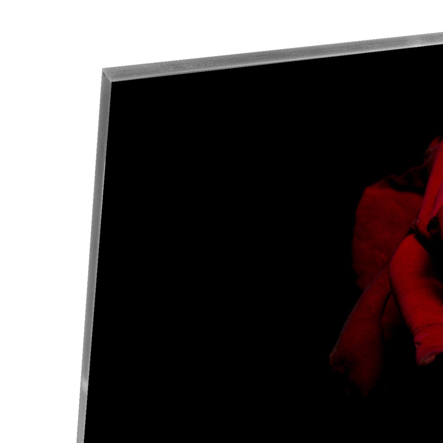 Elegantes Glasbild mit roter Rose auf schwarzem Hintergrund – Glasbild aus Sicherheitsglas, Größe 80x60