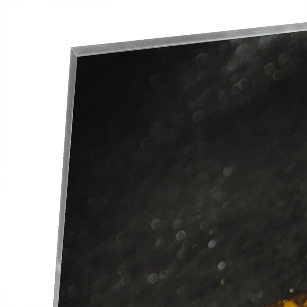 Glasbild mit goldenem Blatt für Ihr Interieur – Glasbild aus Sicherheitsglas, Größe 80x60
