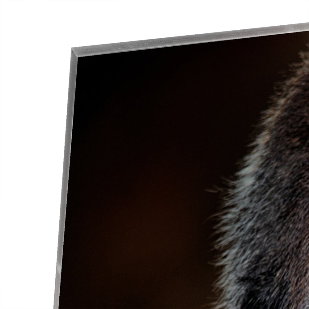 Beeindruckendes Glasbild mit einem Gorilla – Glasbild aus Sicherheitsglas, Größe 80x60