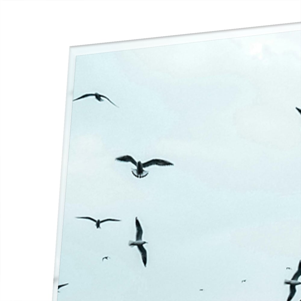 Glasbild mit Vögeln über einer ruhigen Wasserreflexion – Glasbild aus Sicherheitsglas, Größe 80x60