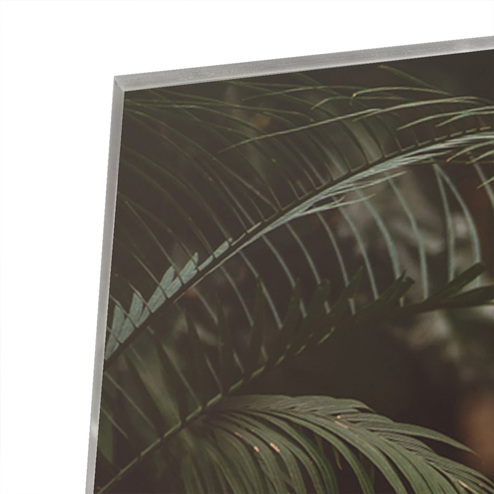 Elegantes Glasbild mit Tiger zwischen Blättern – Glasbild aus Sicherheitsglas, Größe 80x60