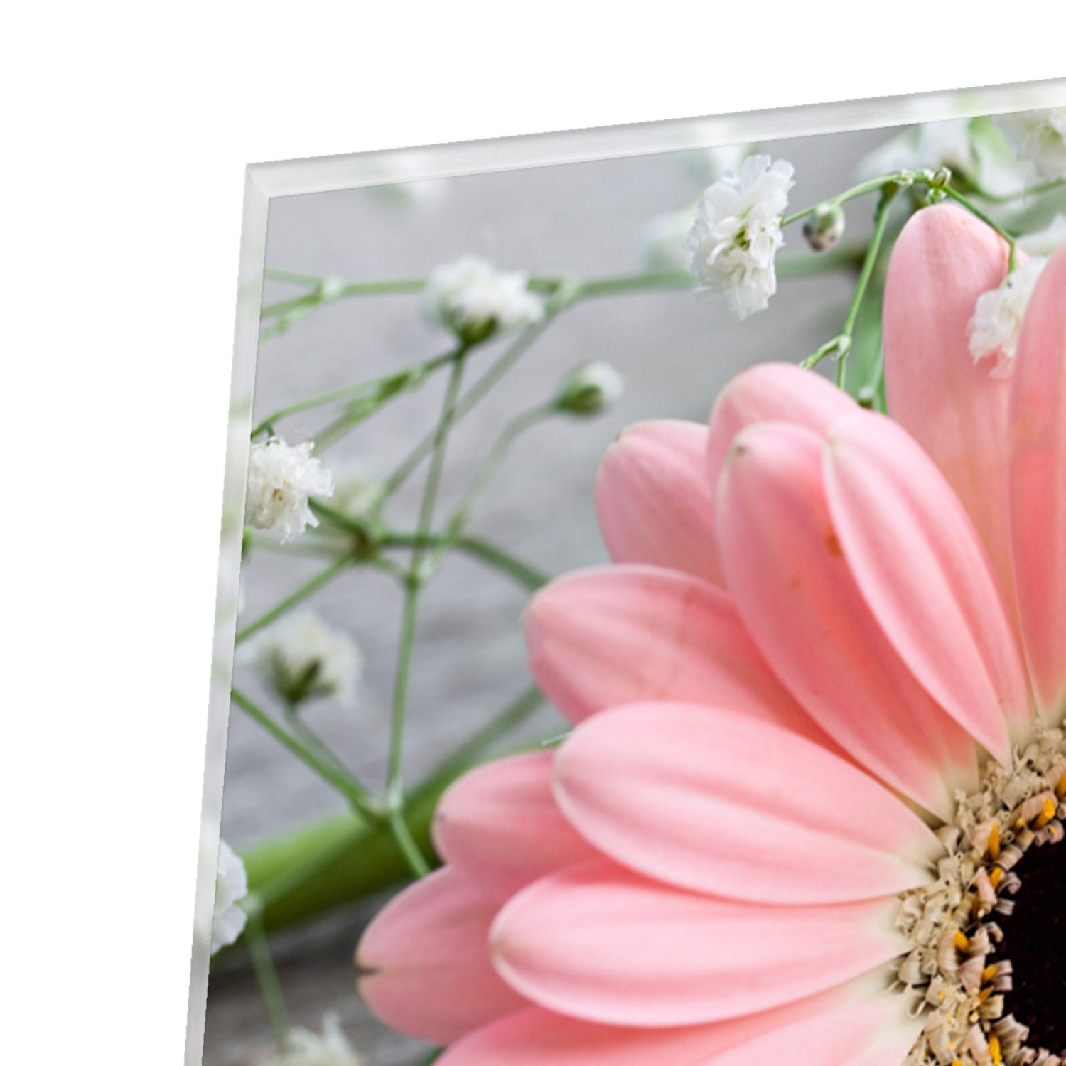 Rosafarbenes Gerbera-Glasbild für ein modernes Zuhause – Glasbild aus Sicherheitsglas, Größe 80x60