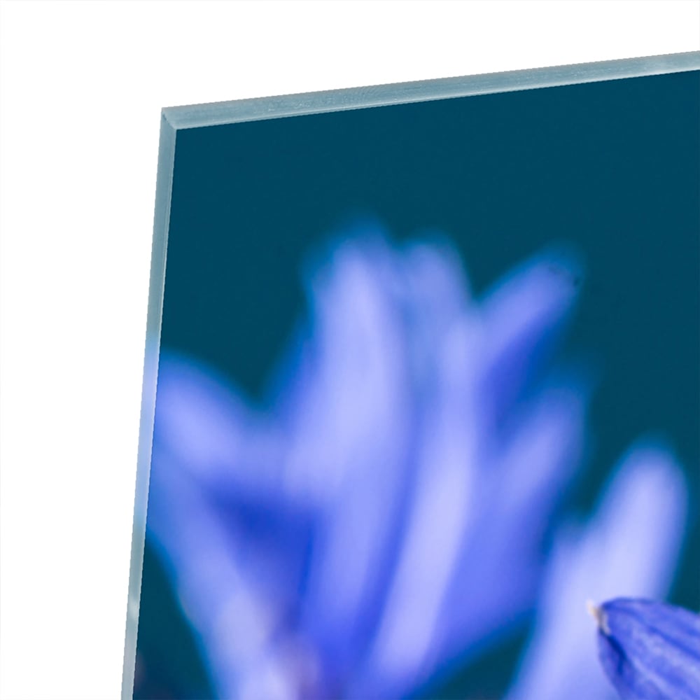 Wunderschönes violettes Glasbild mit Blumenmotiv – Glasbild aus Sicherheitsglas, Größe 80x60
