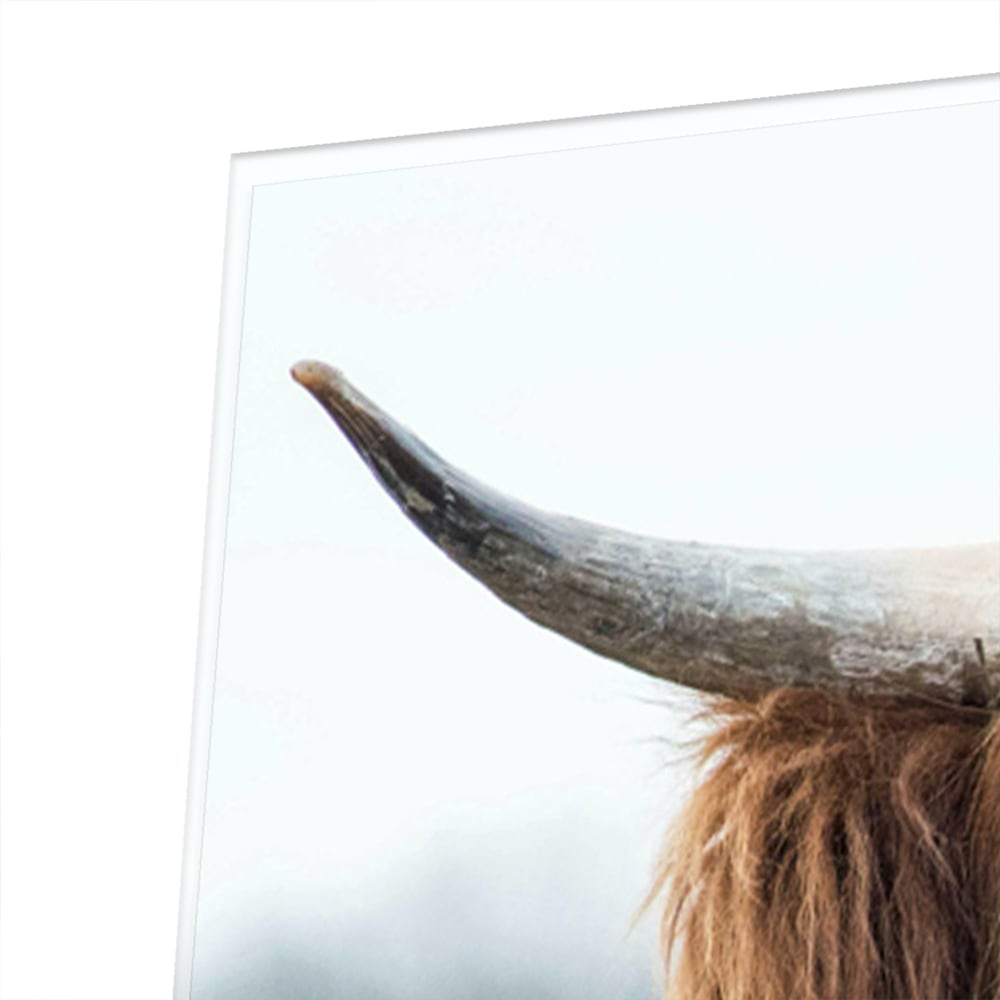 Glasbild mit Hochlandrind in Holzoptik – Glasbild aus Sicherheitsglas, Größe 80x60