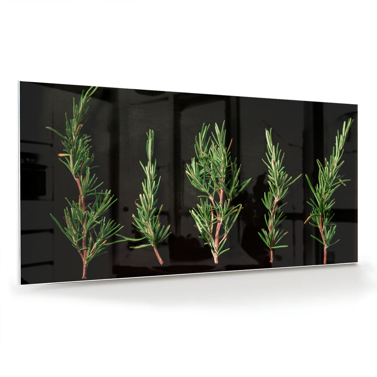 Modernes Glasbild mit grünen Ästen – Glasbild aus Sicherheitsglas, Größe 70x70_rond