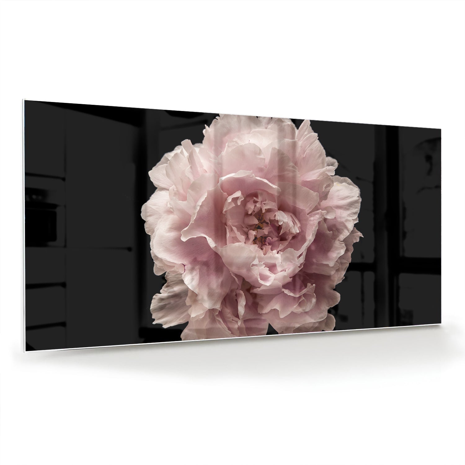Elegantes Glasbild mit Rosenblüte auf schwarzem Hintergrund – perfekt für Ihr Interieur – Glasbild aus Sicherheitsglas, Größe 70x70_rond