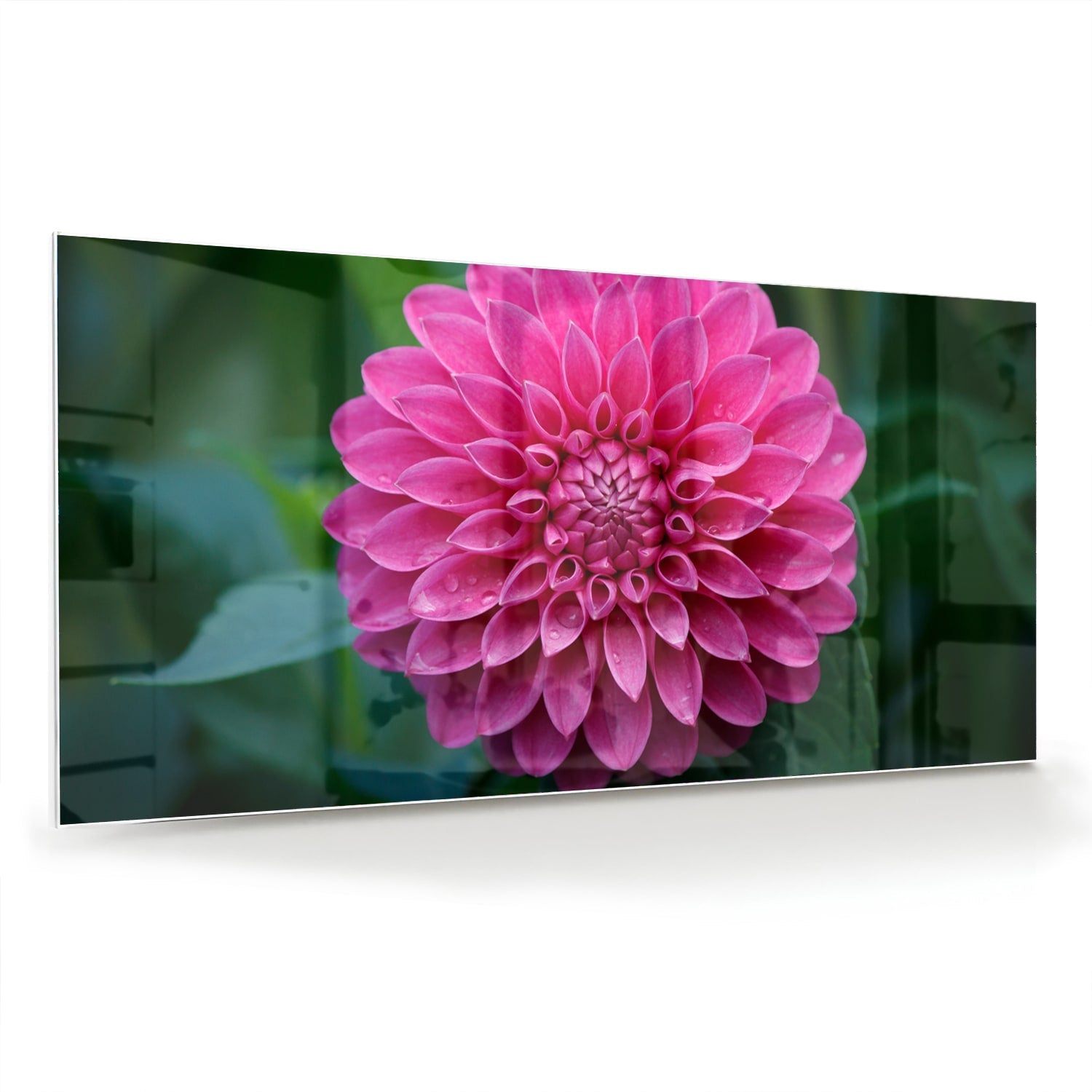 Wunderschönes Glasbild mit rosa Blume – Glasbild aus Sicherheitsglas, Größe 70x70_rond