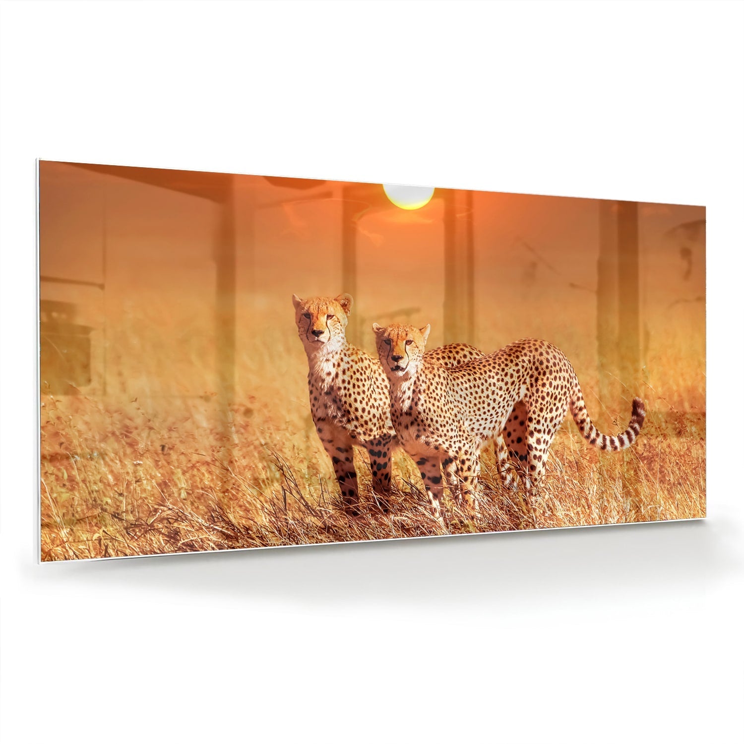 Elegantes Glasbild mit Geparden in der Natur – Glasbild aus Sicherheitsglas, Größe 70x70_rond